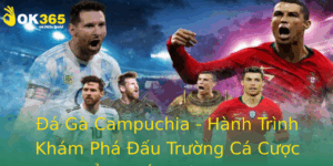 A Ga Campuchia Hanh Trinh Kham Pha Au Truong Ca Cuoc Ang Cap Tai Ok365