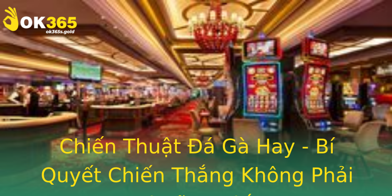 Chiến Thuật Đá Gà Hay - Bí Quyết Chiến Thắng Không Phải Ai Cũng Biết
