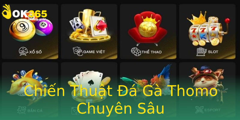 Chiến Thuật Đá Gà Thomo Chuyên Sâu