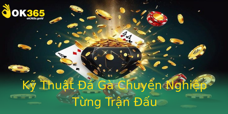 Kỹ Thuật Đá Gà Chuyên Nghiệp Từng Trận Đấu