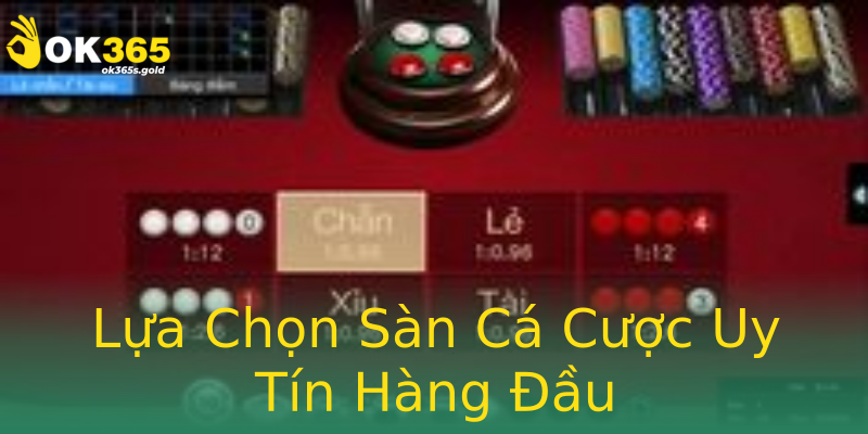 Lựa Chọn Sàn Cá Cược Uy Tín Hàng Đầu