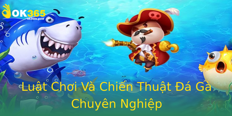 Luật Chơi Và Chiến Thuật Đá Gà Chuyên Nghiệp