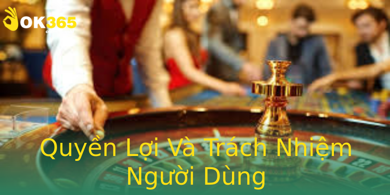 Quyền Lợi Và Trách Nhiệm Người Dùng