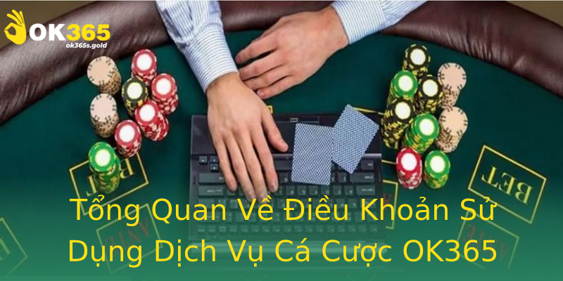 Tổng Quan Về Điều Khoản Sử Dụng Dịch Vụ Cá Cược OK365