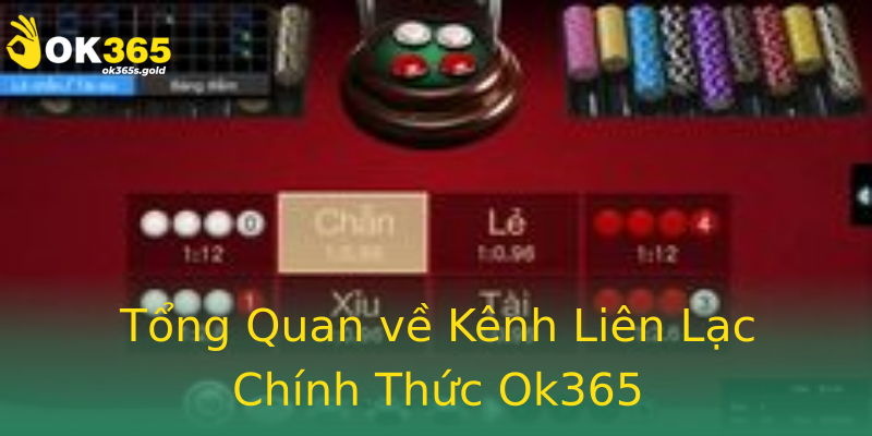 Tổng Quan về Kênh Liên Lạc Chính Thức Ok365
